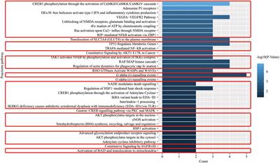 TCMIP v2.0 Powers the Identification of Chemical Constituents Available in Xinglou Chengqi Decoction and the Exploration of Pharmacological Mechanisms Acting on Stroke Complicated With Tanre Fushi Syndrome